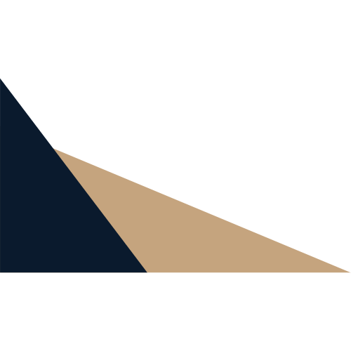 femzrd logo